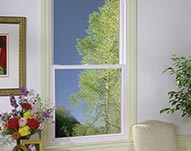 Double Hung Energy Efficient Window